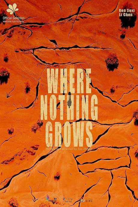 Lin and her brother Lai venture into a desolate region searching for their missing father. A sudden, violent sandstorm leaves Lai injured, forcing Lin to continue the journey alone with dwindling supplies. Determined to save her brother and herself, she must find a way to survive the harsh conditions and locate help amidst the unforgiving landscape.